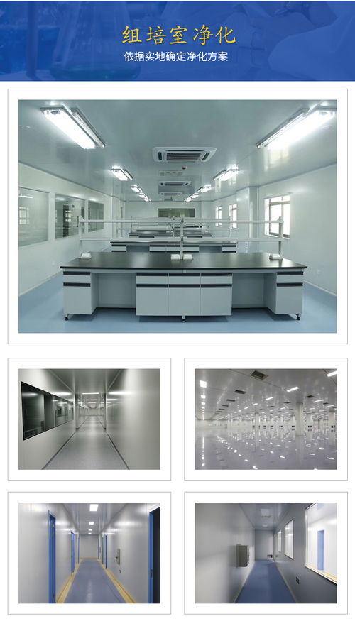 贵州与广西组培技术交流 携手推进区域农业创新发展